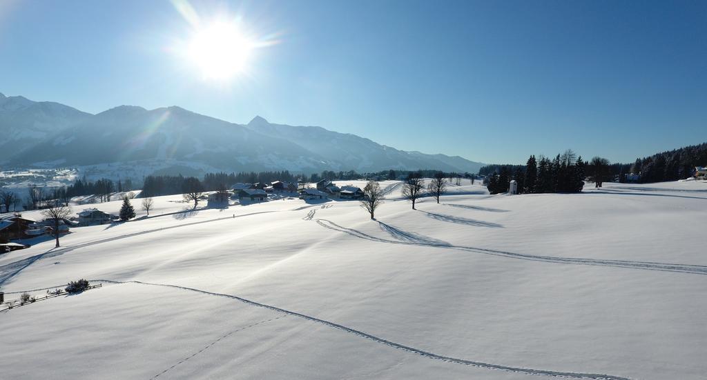 Chalet Findeisen Ramsau am Dachstein Eksteriør bilde